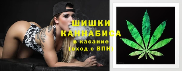 стафф Аркадак