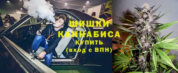 стафф Аркадак