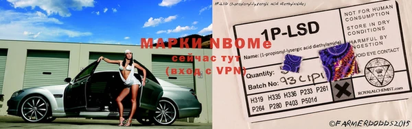 стафф Аркадак